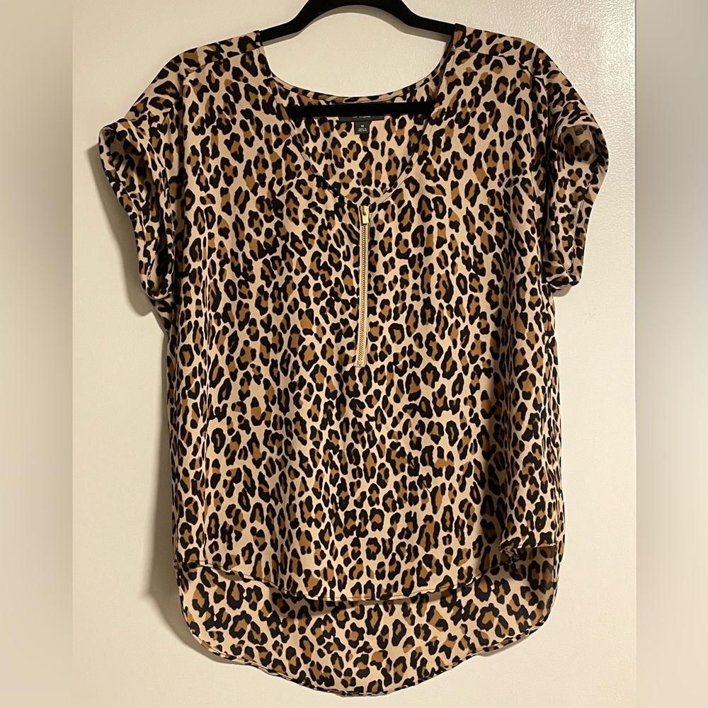 BOLD elements Brown and Black Boxy Short Sleeve Blouse